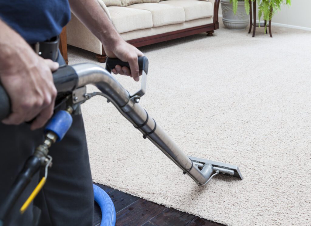 Carpet Cleaning in Clyde North