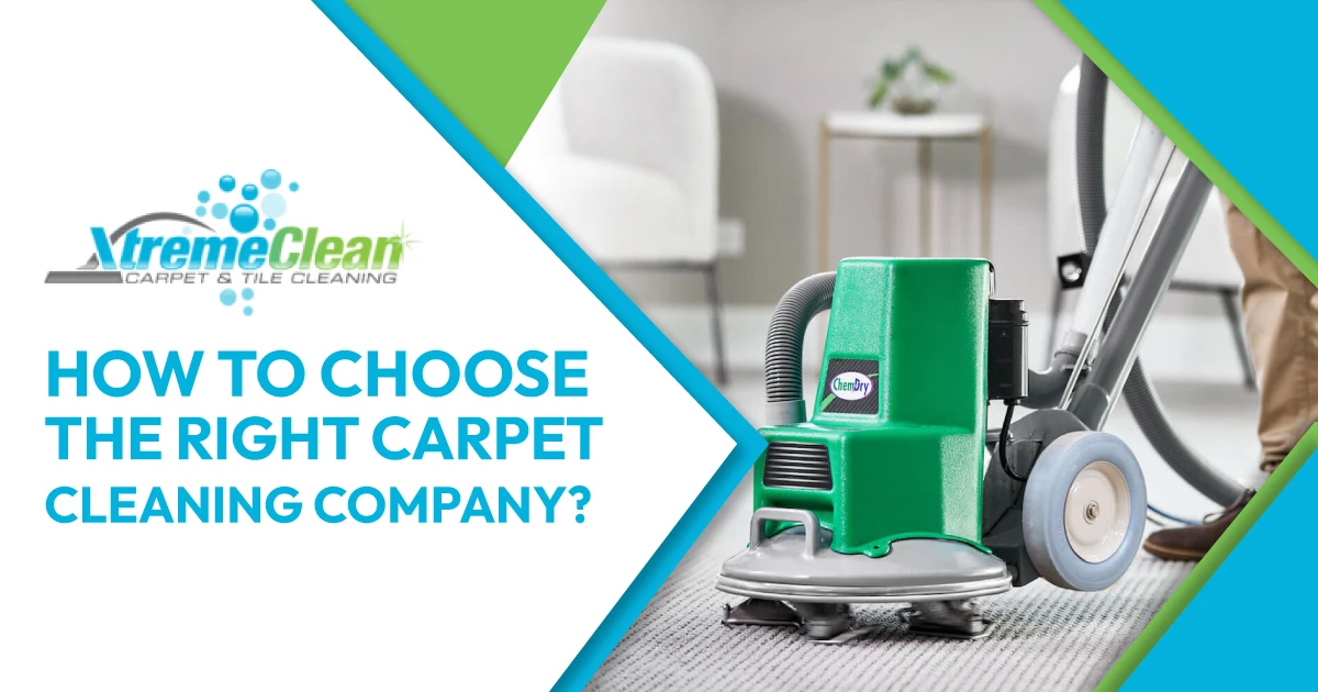 How to Choose the Right Carpet Cleaning Company?